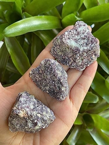 GAF TREASURES 3 Pcs Natural Lepidolite Crystals