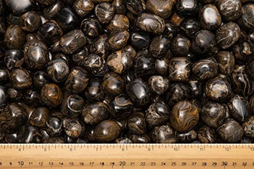 Fantasia 12 Pcs Natural Stromatolite Tumbled Stones from Peru