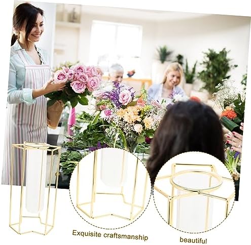 PRETYZOOM Transparent Glass Bud Vase with Iron Stand