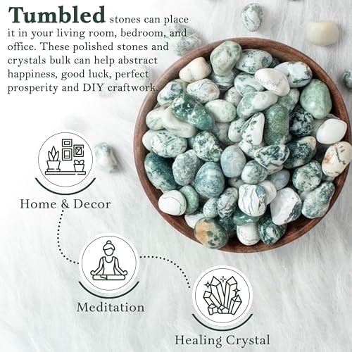 Crocon 1lb Tree Agate Tumble Stones Set