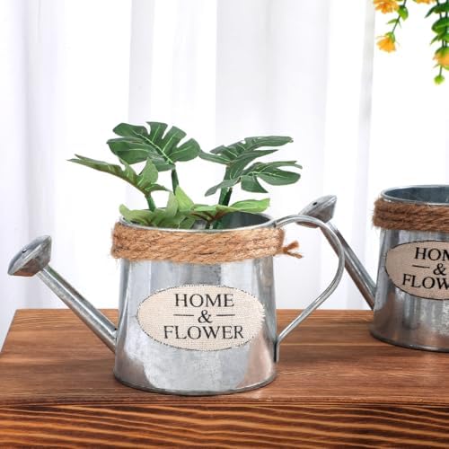 Ciieeo 3pcs Mini Iron Watering Can Flower Vase