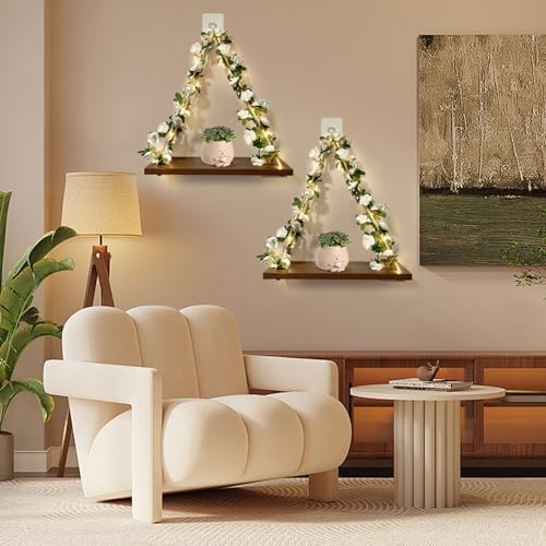Plant Hanging Floating Shelves with LED Light Strip Set of 2