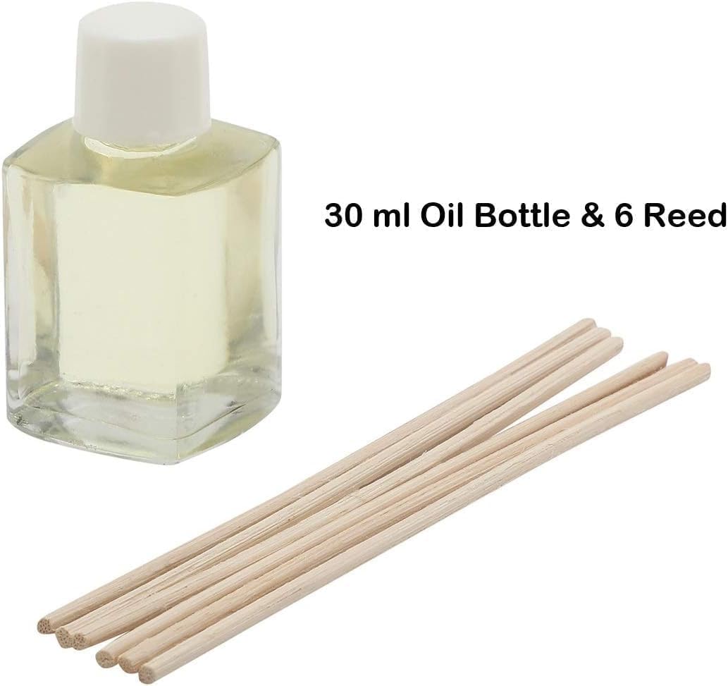 Cinnamon Green Apple Reed Diffuser Set 77 Oz