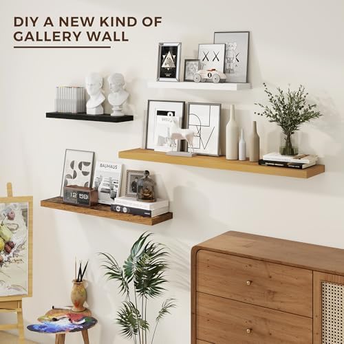 Dreamland 24 Inch Floating Shelves Set of 2 White