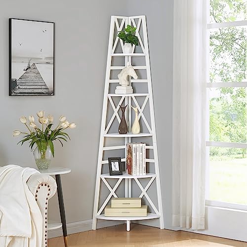 HOMBAZAAR 5 Tier Corner Shelf with Metal Frame