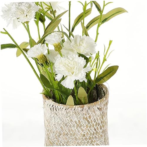 Handmade Seagrass Woven Decorative Vase for Home Display