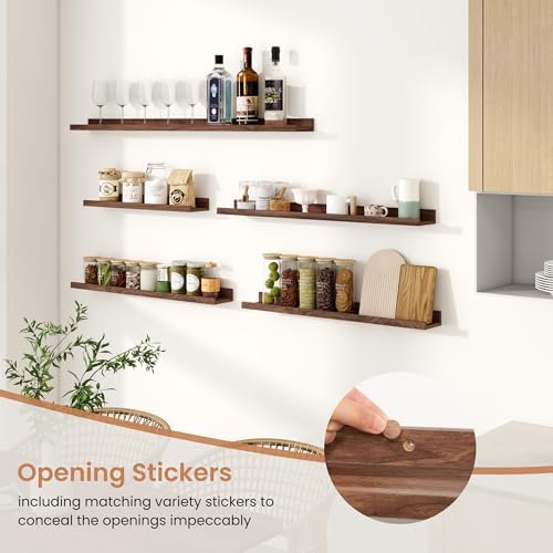 Dreamland Floating Shelf Set of 2 24 Inch for Wall