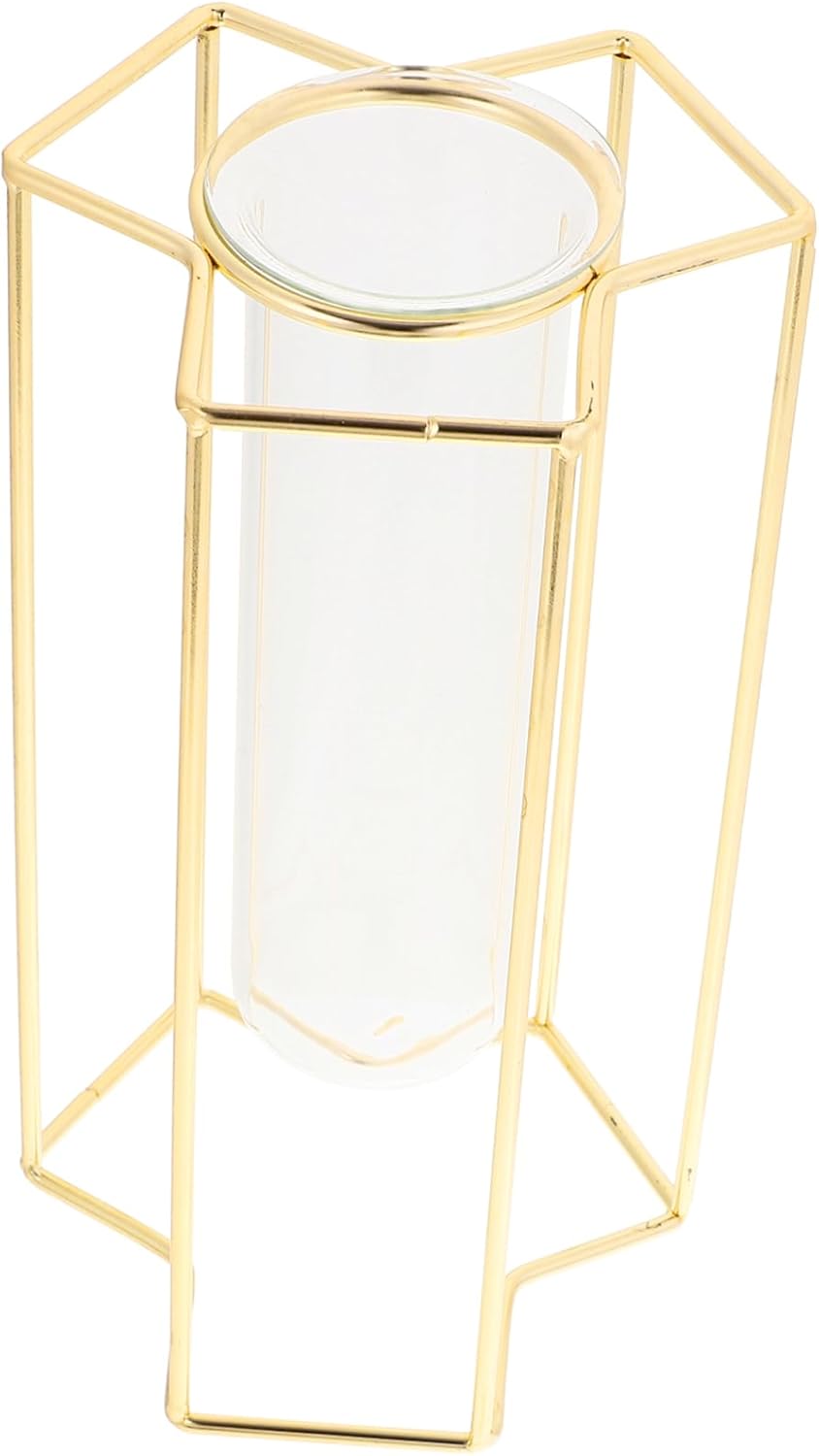Minimalist Flower Vase with Iron Stand for Home and Office