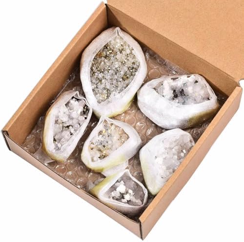 VIZYTOU Natural Chalcopyrite and White Crystal Stone Set 10 LBS