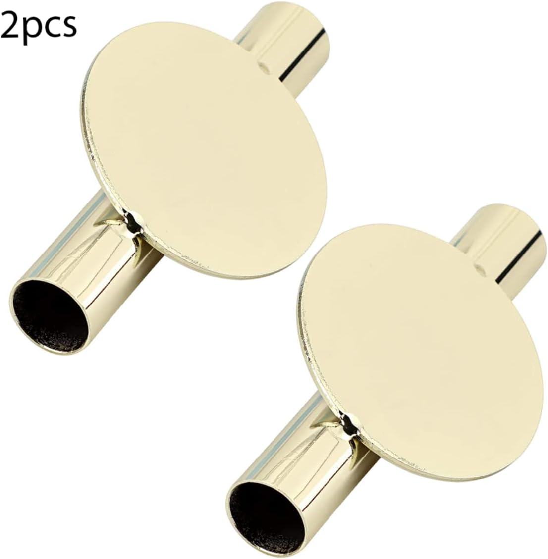 Golden Wall Vase 2Pcs Metal Holder with Dried Flower Display