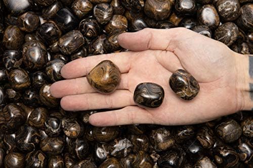 Fantasia 12 Pcs Natural Stromatolite Tumbled Stones from Peru