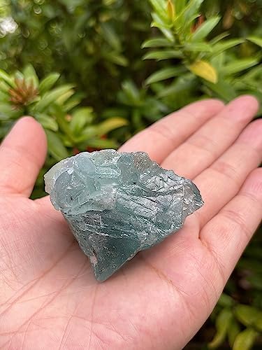 GAF TREASURES Natural Green Fluorite Stone 1 Piece