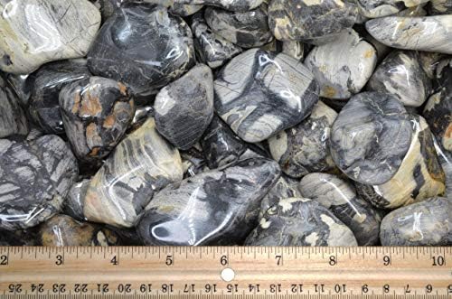 Fantasia 1 lb Tumbled Silver Leaf Jasper Stones for Indoor Fountains