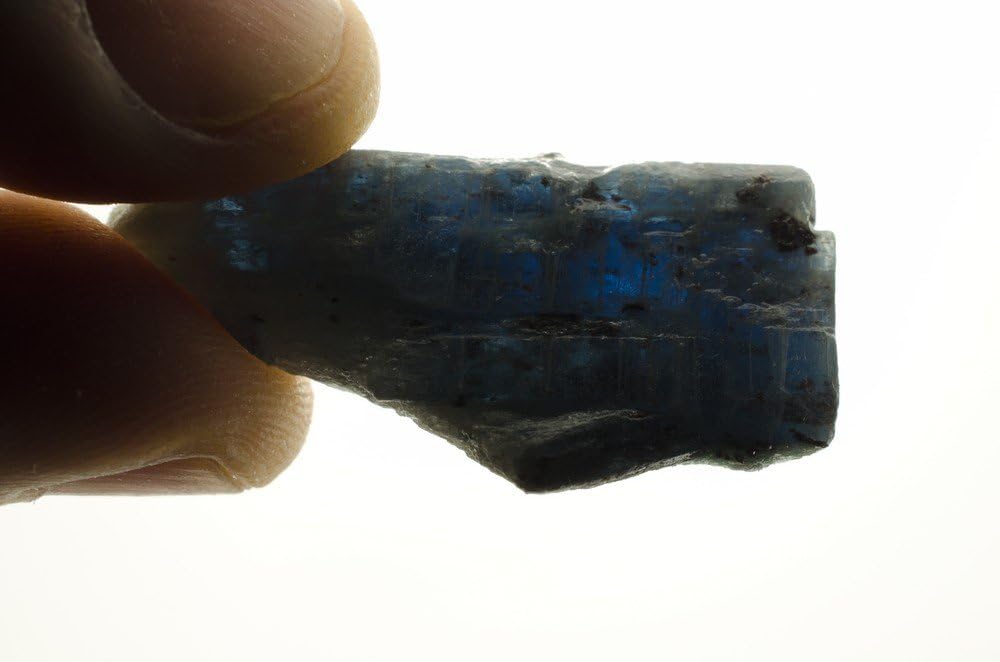 Fantasia 50 Carat Lot Translucent Blue Sapphire and Kyanite Rough Stones