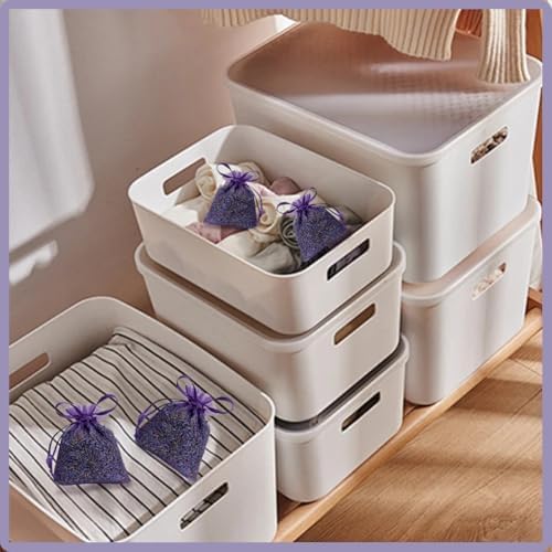 Dried French Lavender Sachets for Home Closets Pack of 12