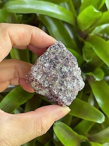GAF TREASURES 3 Pcs Natural Lepidolite Crystals