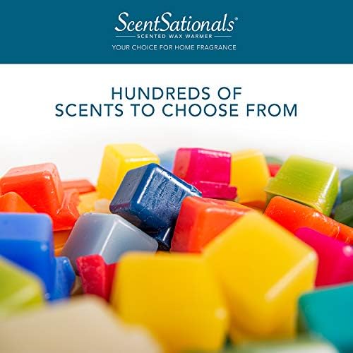 Scentsationals Wax Melts Tropical Fiesta 10oz 24 Cubes