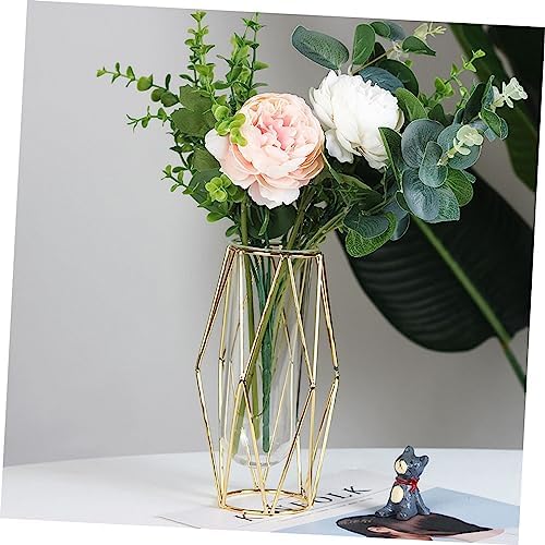 MAGICLULU 1Pc Iron Hydroponic Container for Plant Display and Dried Flower Arrangement