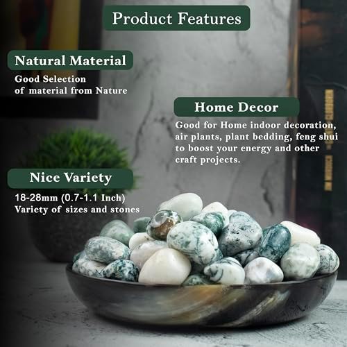 Crocon 1lb Tree Agate Tumble Stones Set