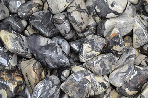 Fantasia 1 lb Tumbled Silver Leaf Jasper Stones for Indoor Fountains