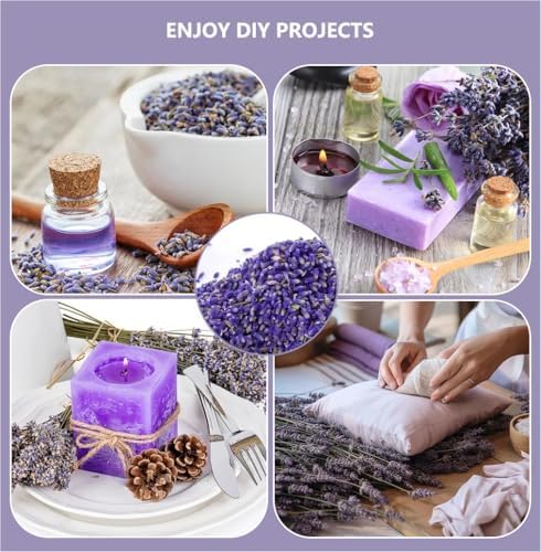 Dried French Lavender Sachets for Home Closets Pack of 12
