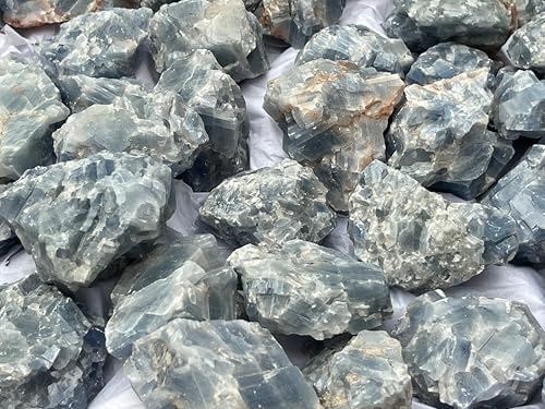 GAF TREASURES 1 Pound Blue Calcite Rough Stones