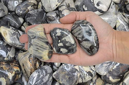 Fantasia 1 lb Tumbled Silver Leaf Jasper Stones for Indoor Fountains