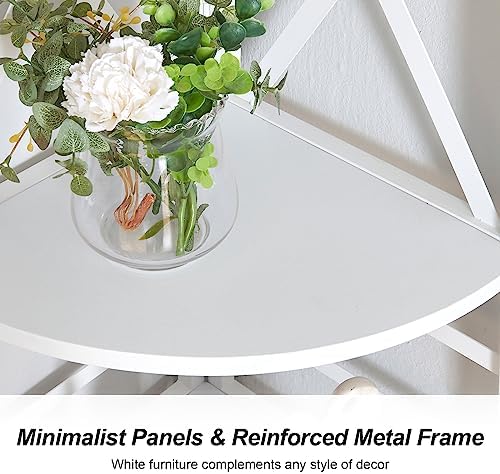 HOMBAZAAR 5 Tier Corner Shelf with Metal Frame