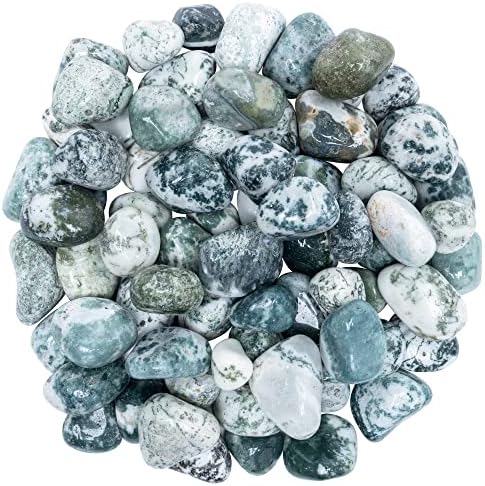 Crocon 1lb Tree Agate Tumble Stones Set