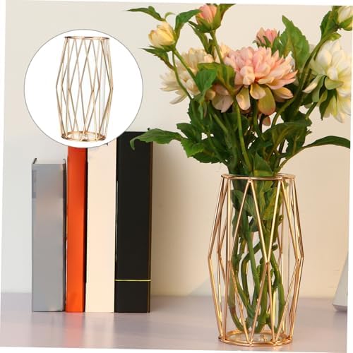 MAGICLULU 1Pc Iron Hydroponic Container for Plant Display and Dried Flower Arrangement
