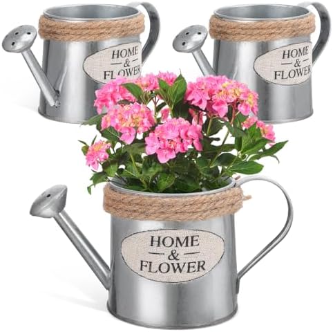 Ciieeo 3pcs Mini Iron Watering Can Flower Vase