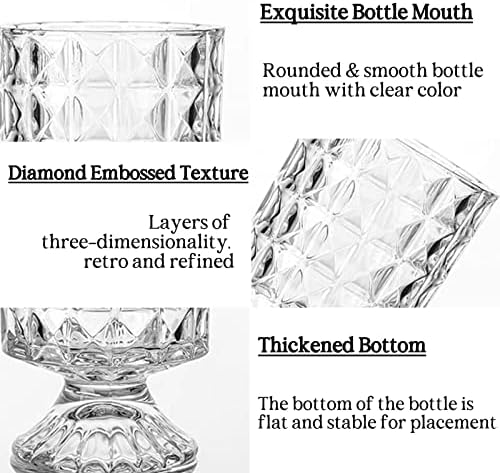 BLOFLO Embossed Glass Vase 7 Inch Crystal