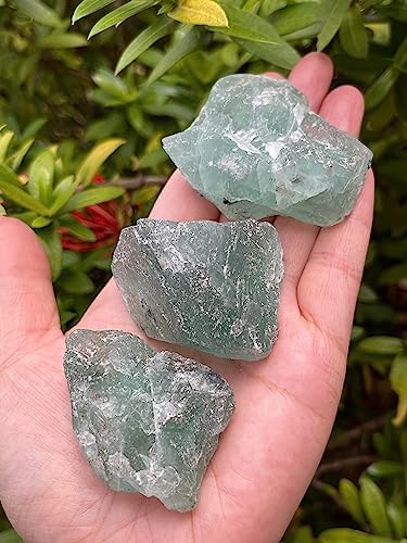 GAF TREASURES Natural Green Fluorite Stone 1 Piece