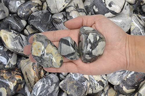 Fantasia 1 lb Tumbled Silver Leaf Jasper Stones for Indoor Fountains