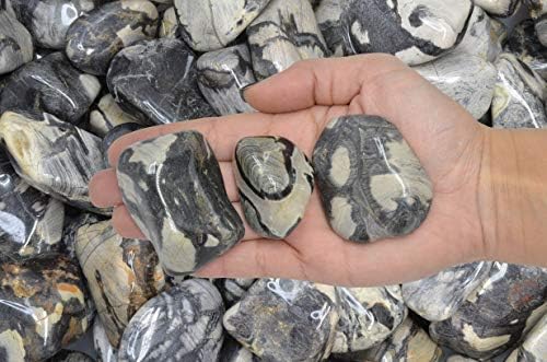 Fantasia 1 lb Tumbled Silver Leaf Jasper Stones for Indoor Fountains