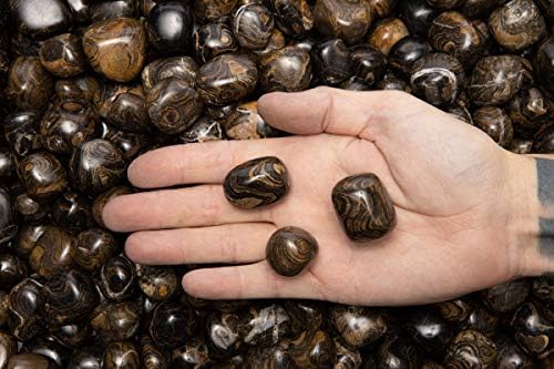 Fantasia 12 Pcs Natural Stromatolite Tumbled Stones from Peru
