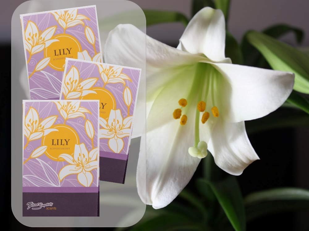 Lily Scented Sachets Pack of 3 - Home Fragrance