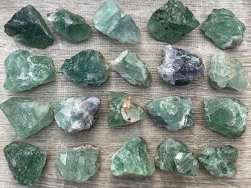 GAF TREASURES Natural Green Fluorite Stone 1 Piece