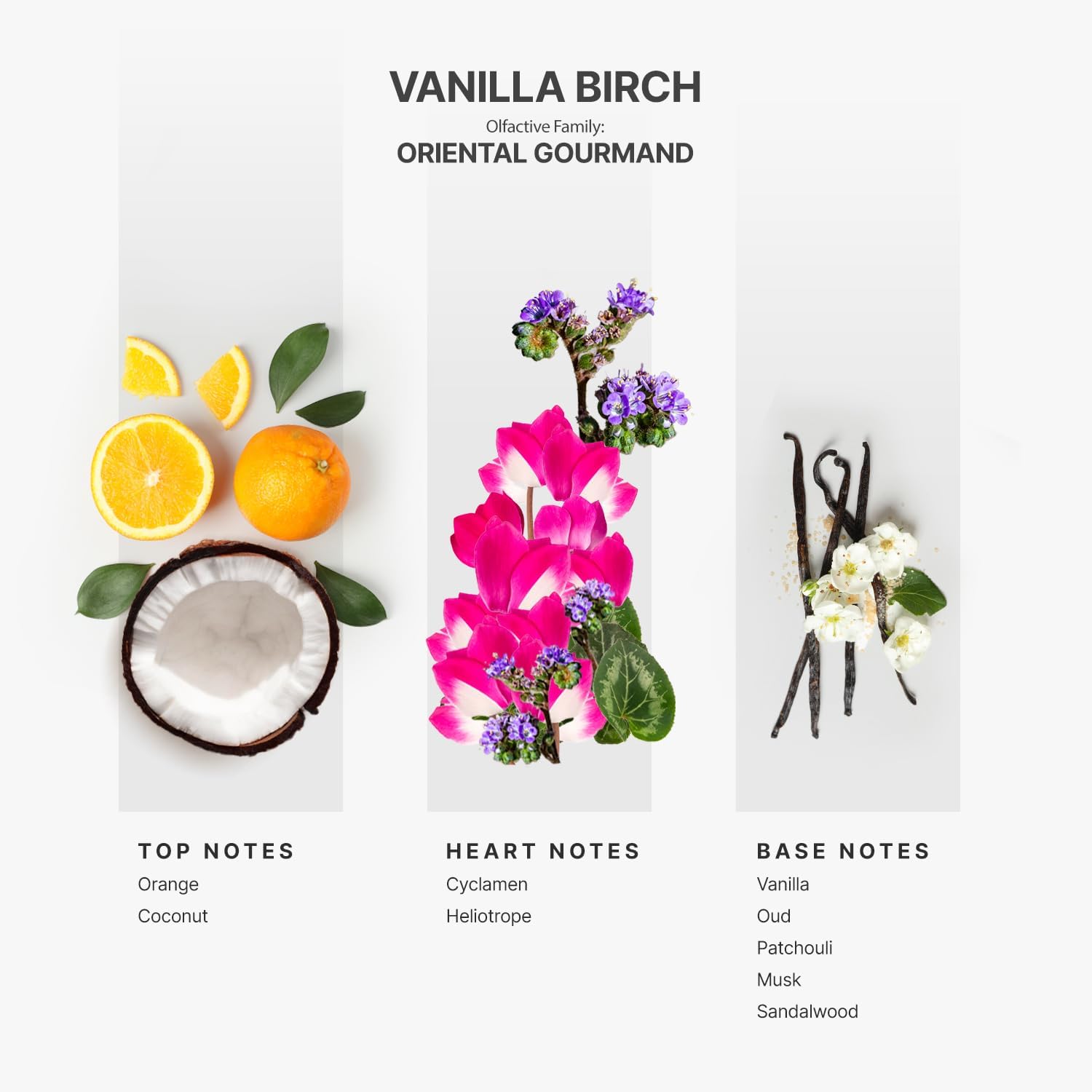 Aromaplan Hotel Scents Vanilla Birch 5 Fl Oz 2 Pack