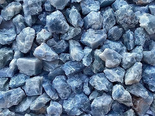 GAF TREASURES 1 Pound Blue Calcite Rough Stones
