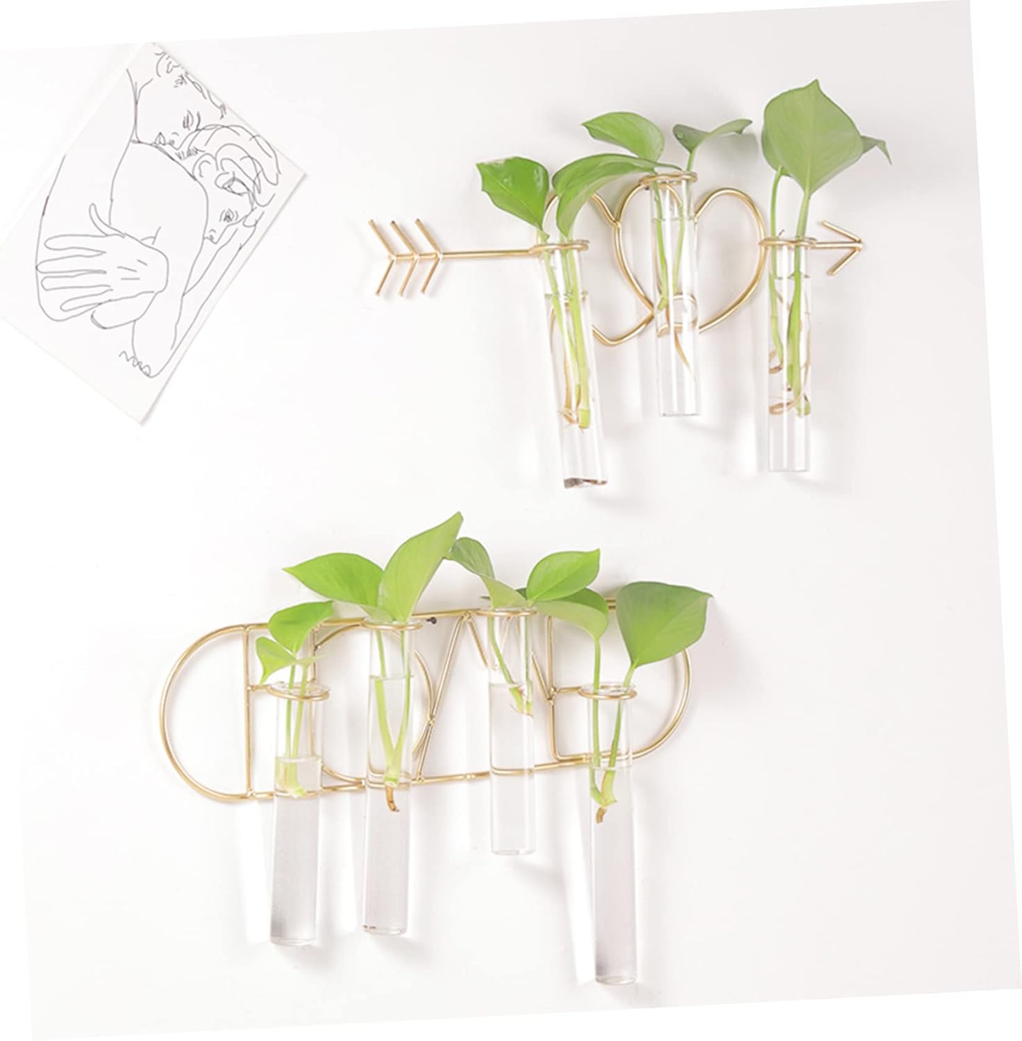 Zerodeko 1set Wrought Iron Wall Vase for Hydroponics and Dried Flowers