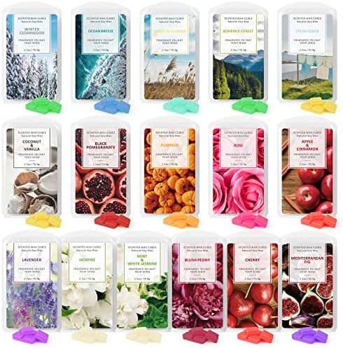 STRN Scented Wax Melts 16 Pack Fall Winter Gift Set