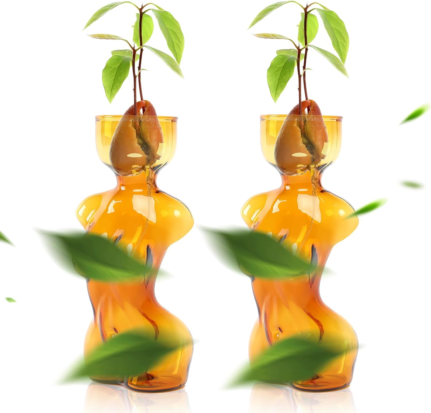 Propagation Vases for Plants and Home Decor Gift