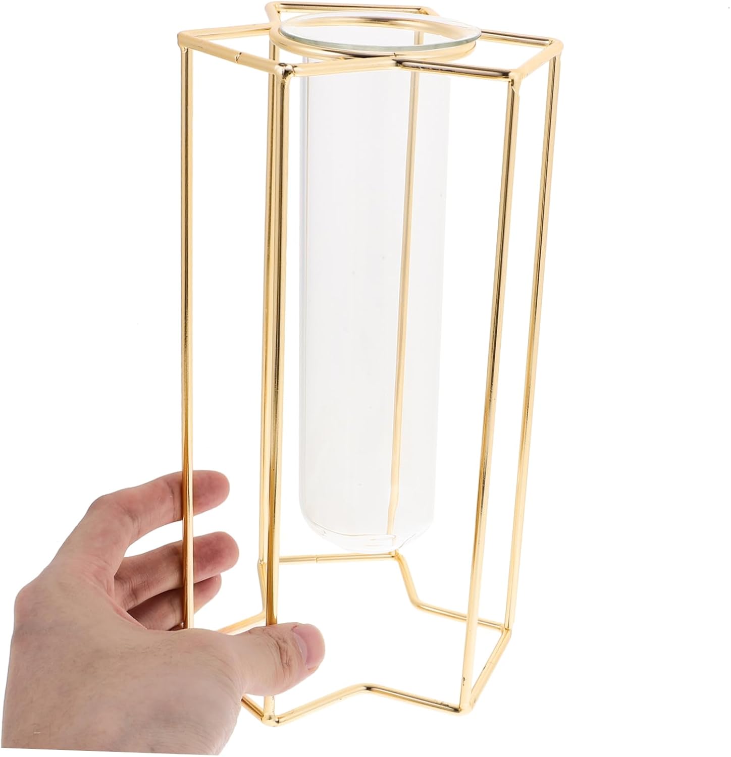 Minimalist Flower Vase with Iron Stand for Home and Office