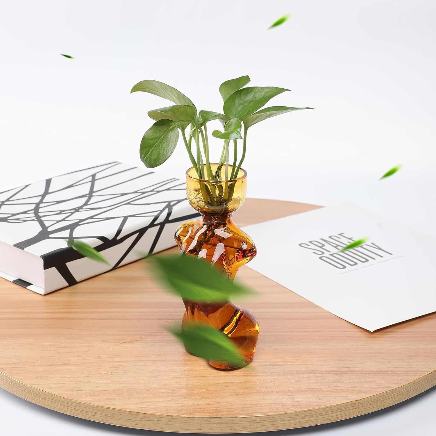 Propagation Vases for Plants and Home Decor Gift