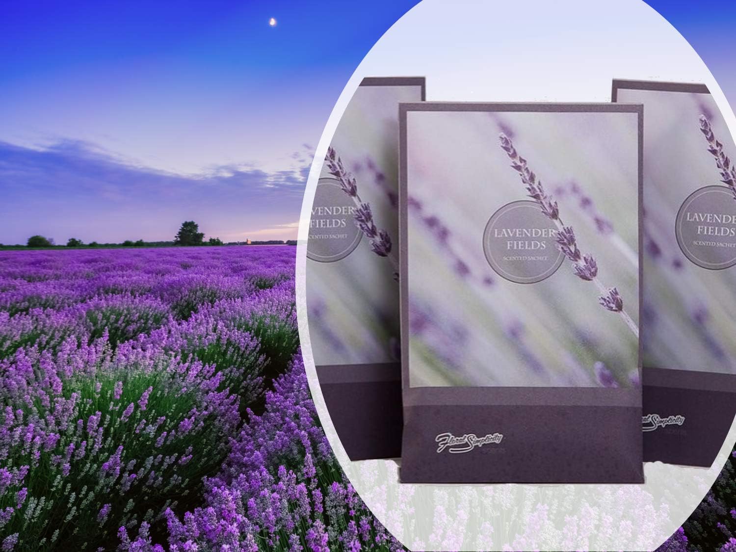 Lavender Scented Sachets Pack of 3 - Home Fragrance