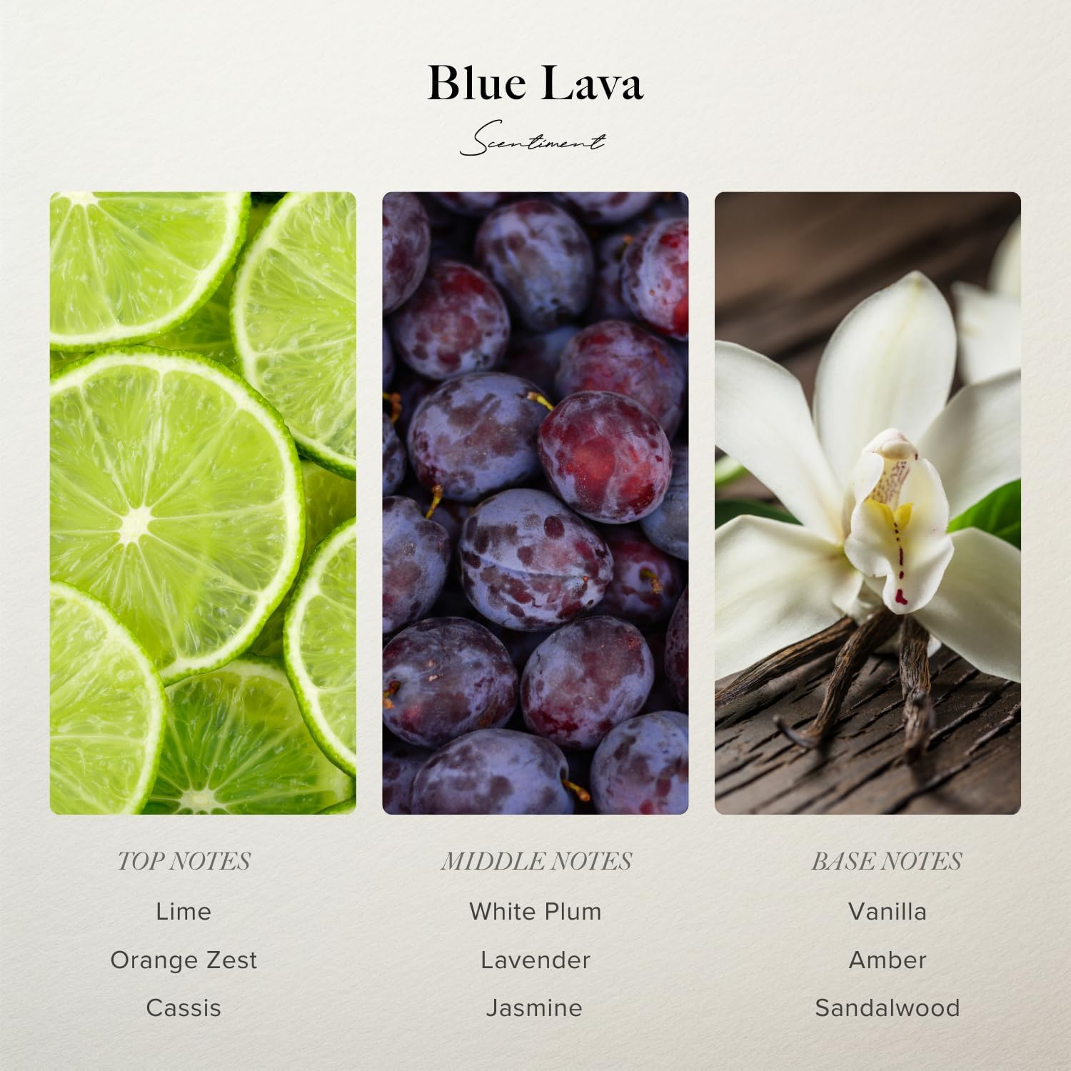 Scentiment Diffuser Oil - Blue Lava Aromatherapy