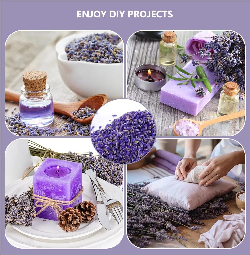 Dried French Lavender Sachets for Home Closets Pack of 12