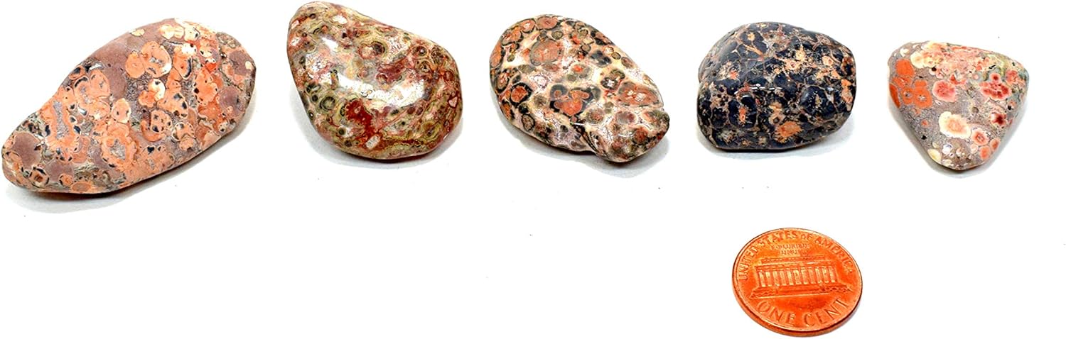 30PCS Leopardite Jasper Stones Natural Polished Indoor Fountain Decor