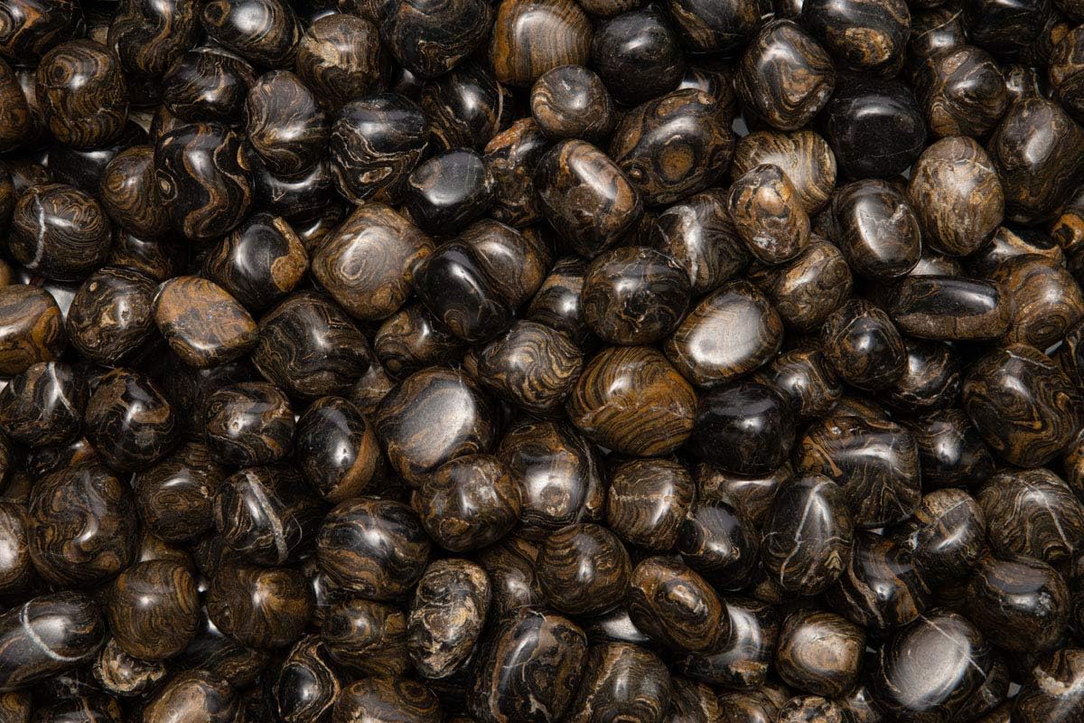 Fantasia 12 Pcs Natural Stromatolite Tumbled Stones from Peru